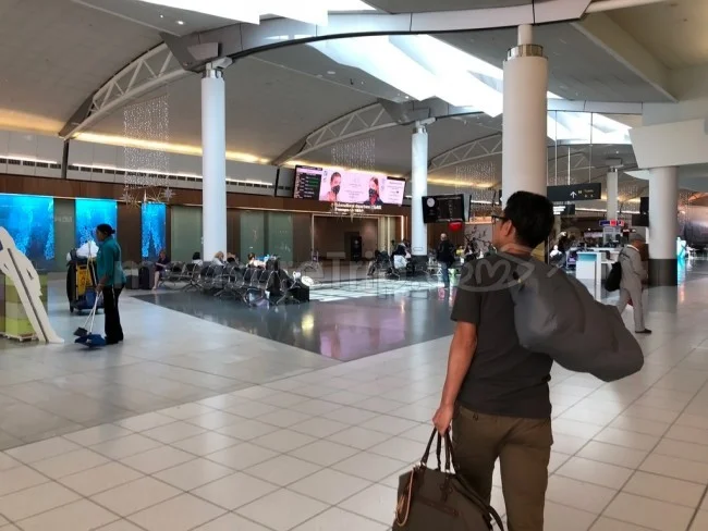 翻訳機「POCKETALK（ポケトーク）」は海外旅行で使える？