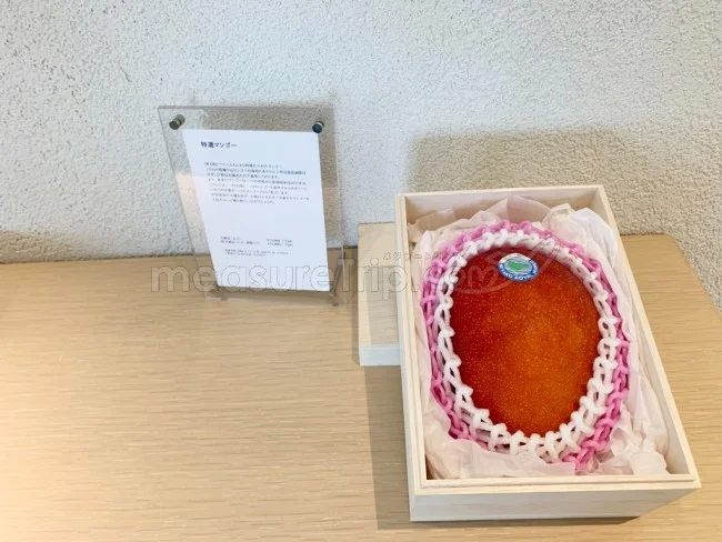 部屋から見える景色が最高！イラフ SUI ラグジュアリーコレクションホテル 沖縄宮古 滞在記 【口コミ レビュー 宿泊記】 