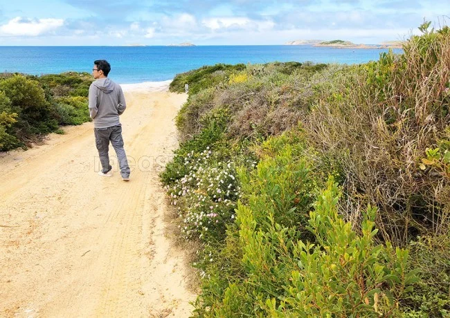 [野生のカンガルーがいる世界一のビーチを目指して！西オーストラリア・ロングドライブ旅行記90] ル グランド コースタル トレイルの登山口「ROSSITER BAY（ロシターベイ）」）