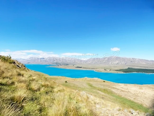 [年末年始のニュージーランド・テカポ湖に世界一の星空を見に行く旅行記58] マウントジョンの頂上から見るテカポ湖