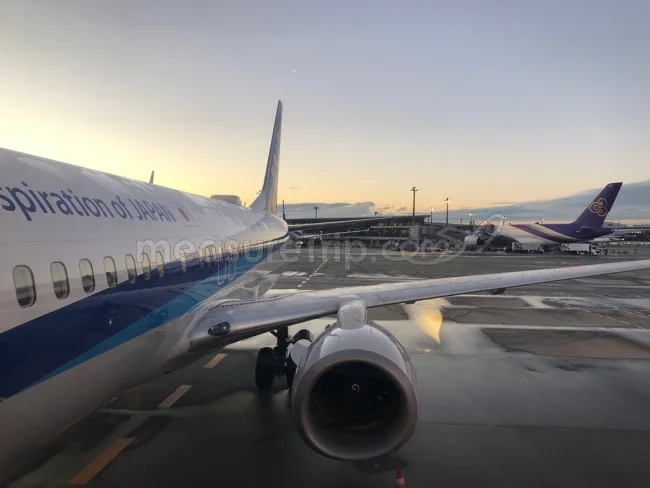 確率論で考察！台風シーズンに飛行機で国内・海外旅行に行くべき？