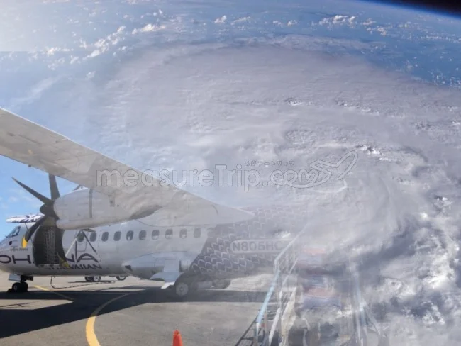 確率論で考察！台風シーズンに飛行機で国内・海外旅行に行くべき？