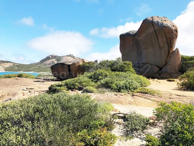 [野生のカンガルーがいる世界一のビーチを目指して！西オーストラリア・ロングドライブ旅行記91] Thistle Cove シスルコーブ（シスル湾）の絶景ビーチ