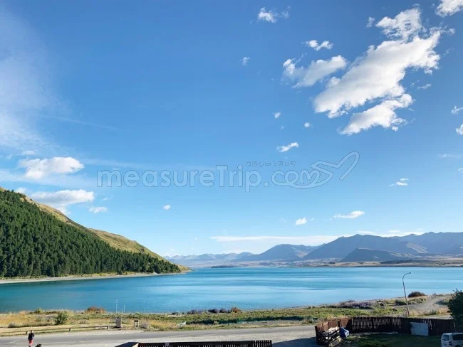 [年末年始のニュージーランド・テカポ湖に世界一の星空を見に行く旅行記70] テカポ湖を離れる朝。猫が見送りに来てくれる♪