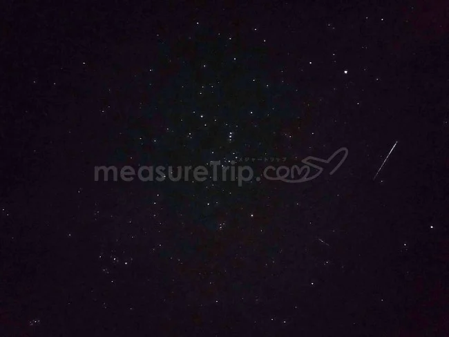[年末年始のニュージーランド・テカポ湖に世界一の星空を見に行く旅行記94] ニュージーランド・テカポ湖からただいま！