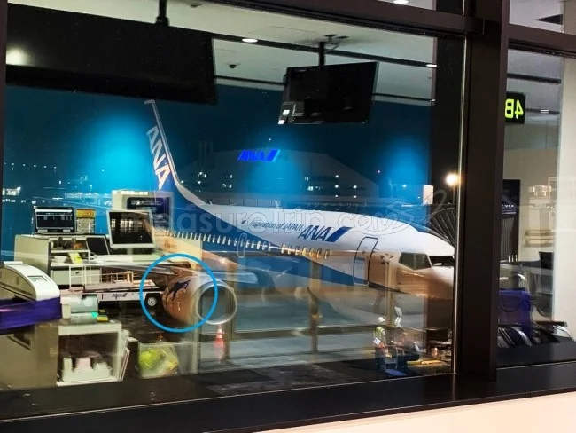 ANA国内線 引退した飛行機スーパードルフィン B737-500 / 搭乗記