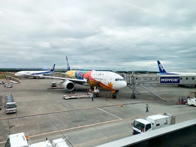 ANA国内線 B772 エコノミークラス 大阪⇔新千歳 / 搭乗記