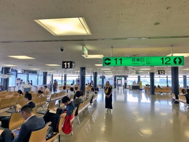 ANA国内線 B772 エコノミークラス 大阪⇔新千歳 / 搭乗記