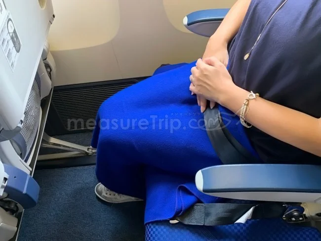 ANA国内線 B772 エコノミークラス 大阪⇔新千歳 / 搭乗記