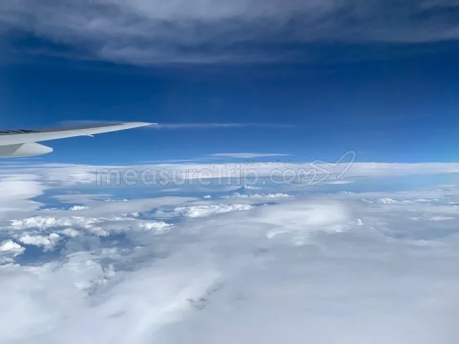 ANA国内線 B772 エコノミークラス 大阪⇔新千歳 / 搭乗記