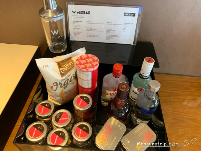 【Wモルディブ】プール付きでワンダフル！ ビーチフロントのワンダフル・ビーチ・オアシス 滞在記 / ポイント宿泊【W リトリート & スパ モルディブ】
