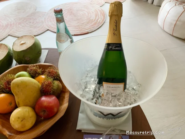 【Wモルディブ】プール付きでワンダフル！ ビーチフロントのワンダフル・ビーチ・オアシス 滞在記 / ポイント宿泊【W リトリート & スパ モルディブ】