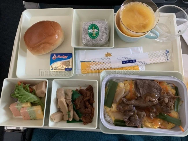 [海外仕様のiPhoneを求めてシンガポール旅行記4] ベトナム航空 B787-9に乗って「翔んで埼玉」え！？もう到着っ（汗）！