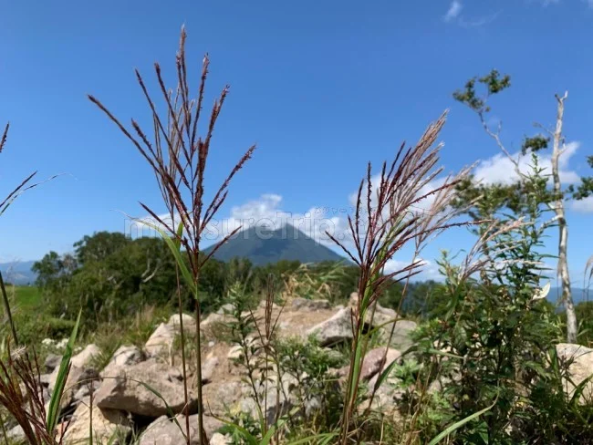 北海道 ウェスティンルスツリゾート周辺の山々を進む羊蹄ゴンドラ！