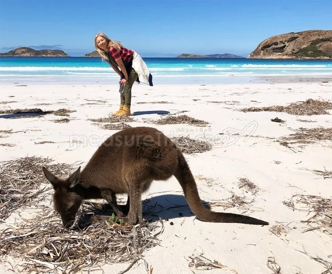 [野生のカンガルーがいる世界一のビーチを目指して！西オーストラリア・ロングドライブ旅行記101] あ！昨日のカンガルー兄弟だ！