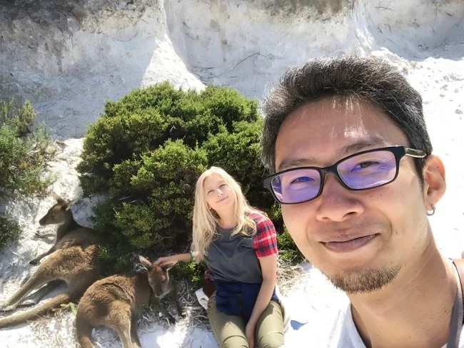 [野生のカンガルーがいる世界一のビーチを目指して！西オーストラリア・ロングドライブ旅行記101] あ！昨日のカンガルー兄弟だ！