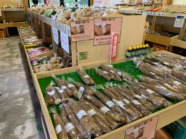 【北海道旅行】北海道の道の駅「230ルスツ」で地元・留寿都の食材を買ってみた【道の駅 おすすめ】