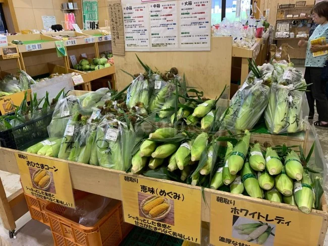 【北海道旅行】北海道の道の駅「230ルスツ」で地元・留寿都の食材を買ってみた【道の駅 おすすめ】