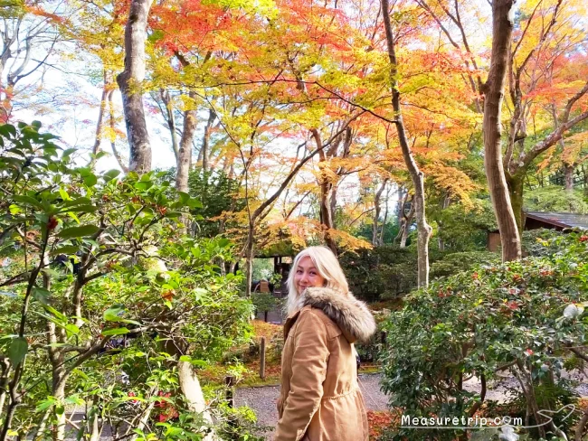 【京都 紅葉】京都 嵐山の紅葉 見頃の時期はいつ？【京都 嵐山 観光】