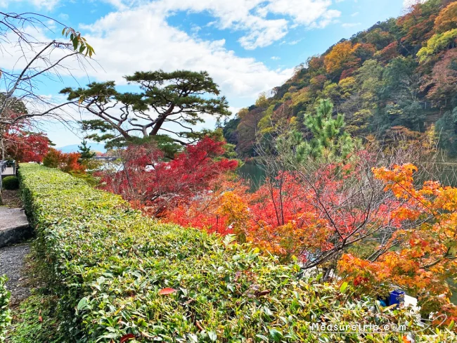 【京都 紅葉】京都 嵐山の紅葉 見頃の時期はいつ？【京都 嵐山 観光】