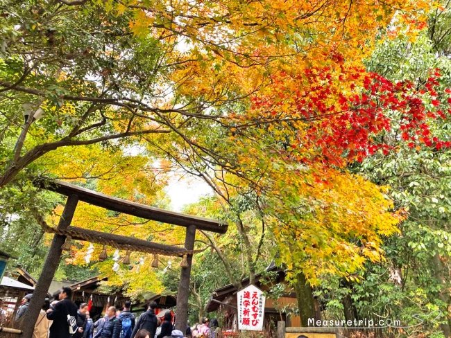 【京都 紅葉】京都 嵐山の紅葉 見頃の時期はいつ？【京都 嵐山 観光】