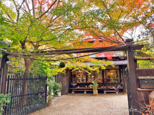 【京都 紅葉】京都 嵐山の紅葉 見頃の時期はいつ？【京都 嵐山 観光】