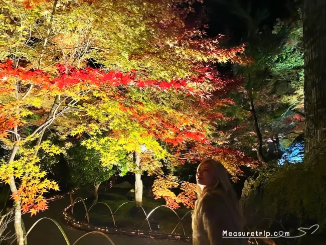 【京都 紅葉】京都 嵐山の紅葉 見頃の時期はいつ？【京都 嵐山 観光】
