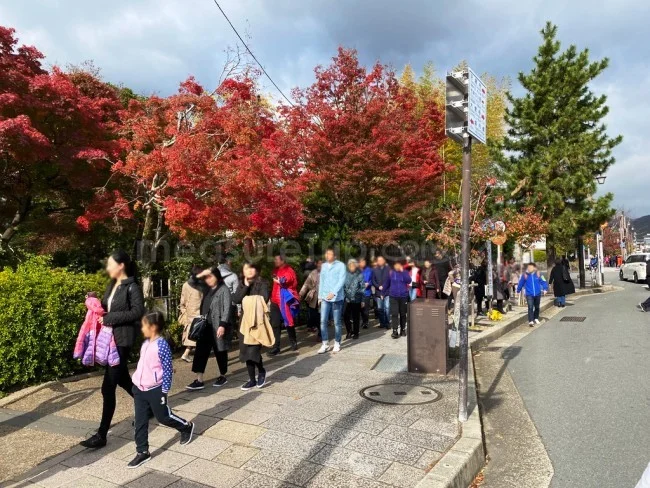 【人力車 観光】時間がない人におすすめ！人力車で嵐山の名所を観光【京都観光】