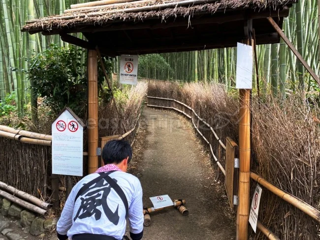 【人力車 観光】時間がない人におすすめ！人力車で嵐山の名所を観光【京都観光】