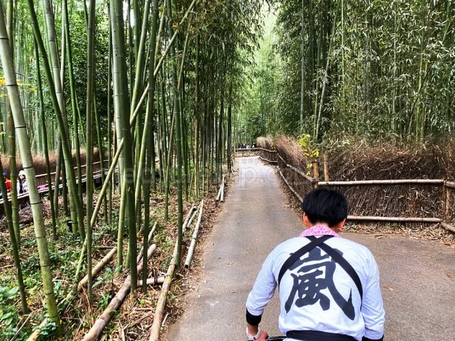 【人力車 観光】時間がない人におすすめ！人力車で嵐山の名所を観光【京都観光】