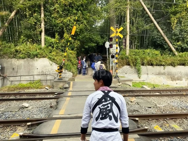 【人力車 観光】時間がない人におすすめ！人力車で嵐山の名所を観光【京都観光】