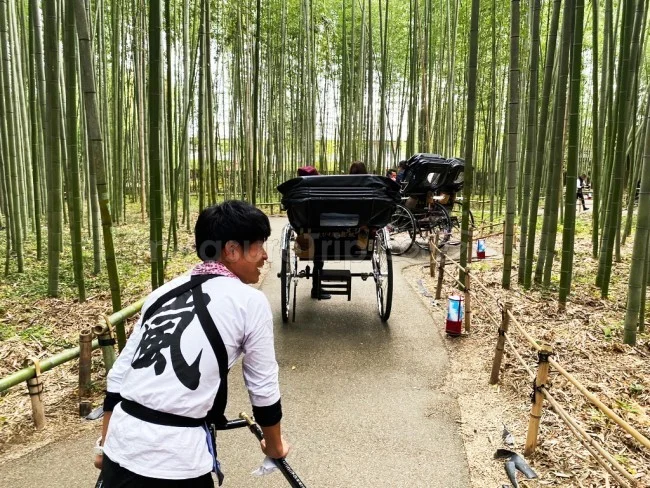 【人力車 観光】時間がない人におすすめ！人力車で嵐山の名所を観光【京都観光】