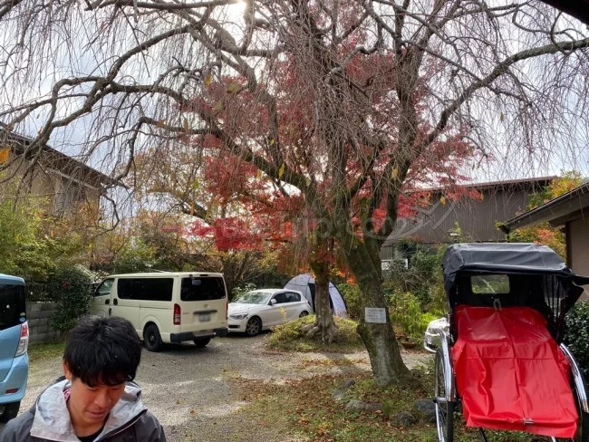 【人力車 観光】時間がない人におすすめ！人力車で嵐山の名所を観光【京都観光】