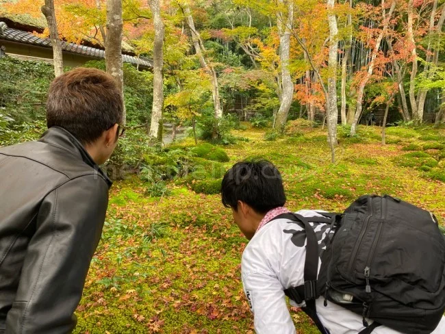 【人力車 観光】時間がない人におすすめ！人力車で嵐山の名所を観光【京都観光】