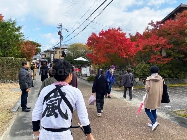【人力車 観光】時間がない人におすすめ！人力車で嵐山の名所を観光【京都観光】