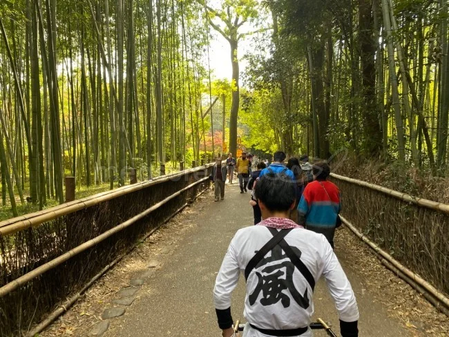 【人力車 観光】時間がない人におすすめ！人力車で嵐山の名所を観光【京都観光】
