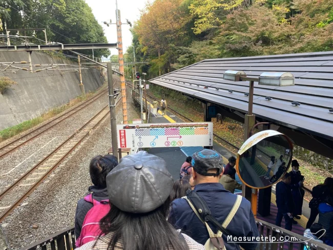 超人気！紅葉シーズンの嵯峨野観光鉄道トロッコ列車に乗る方法【京都観光】
