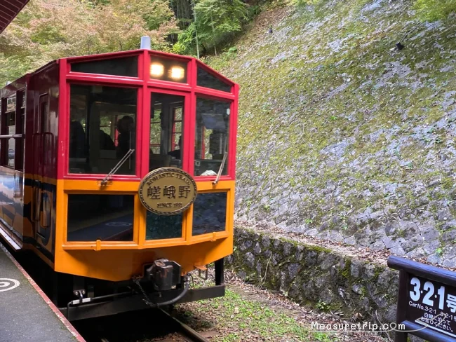 超人気！紅葉シーズンの嵯峨野観光鉄道トロッコ列車に乗る方法【京都観光】
