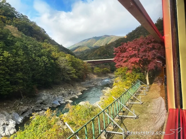 超人気！紅葉シーズンの嵯峨野観光鉄道トロッコ列車に乗る方法【京都観光】