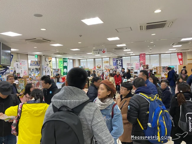 【徹底解説】京都 嵐山の保津川下り！どこから乗る？時間は？価格は？予約方法は？【京都観光】