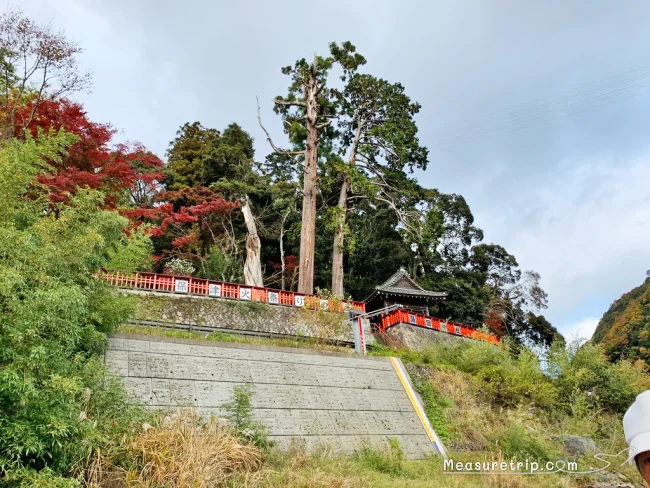 【徹底解説】京都 嵐山の保津川下り！どこから乗る？時間は？価格は？予約方法は？【京都観光】