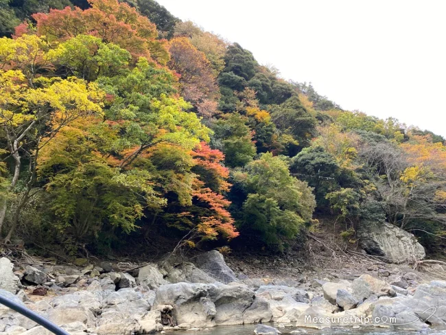 【徹底解説】京都 嵐山の保津川下り！どこから乗る？時間は？価格は？予約方法は？【京都観光】