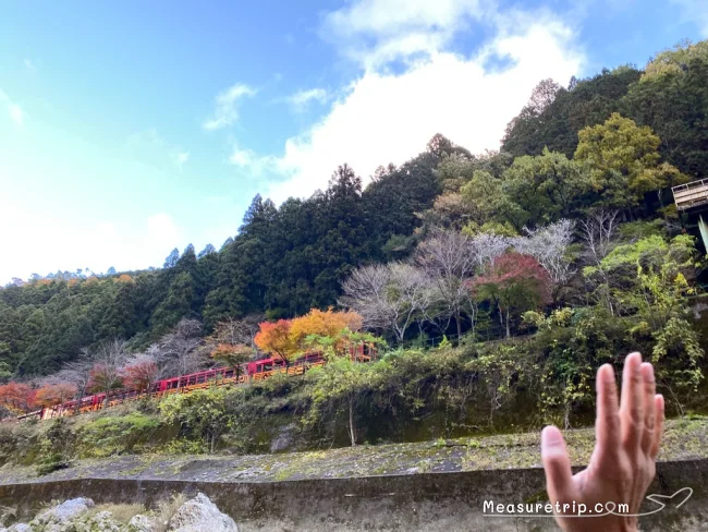 【徹底解説】京都 嵐山の保津川下り！どこから乗る？時間は？価格は？予約方法は？【京都観光】