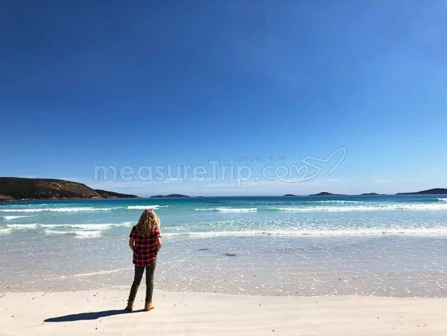 [野生のカンガルーがいる世界一のビーチを目指して！西オーストラリア・ロングドライブ旅行記105] ヤバい！まさか！こんなところで「ツチノコ」発見！？