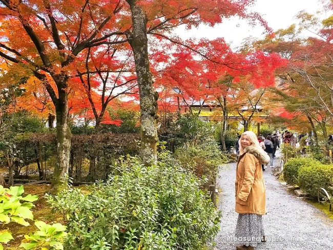 【世界遺産 京都 天龍寺】行き方・拝観料（割引）と時間・見どころ / 雲龍図公開日に注意！【京都 紅葉 おすすめ 嵐山 庭園】