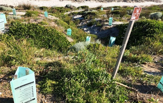 [野生のカンガルーがいる世界一のビーチを目指して！西オーストラリア・ロングドライブ旅行記104] Great Ocean Drive グレートオーシャンドライブを走ってBLUE Haven Beachブルーヘブンビーチへ