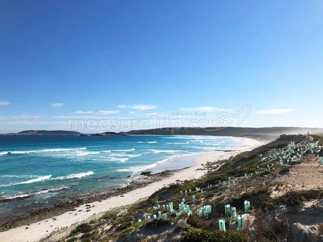 [野生のカンガルーがいる世界一のビーチを目指して！西オーストラリア・ロングドライブ旅行記104] Great Ocean Drive グレートオーシャンドライブを走ってBLUE Haven Beachブルーヘブンビーチへ