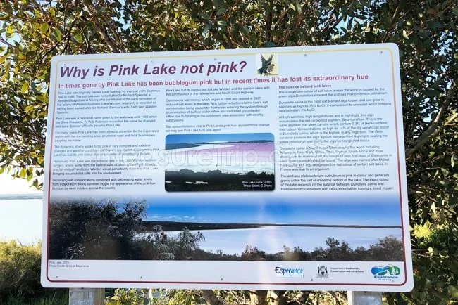 [野生のカンガルーがいる世界一のビーチを目指して！西オーストラリア・ロングドライブ旅行記108] ピンクレイクPINK LAKEの色は何色？？