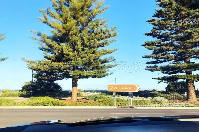 [野生のカンガルーがいる世界一のビーチを目指して！西オーストラリア・ロングドライブ旅行記108] ピンクレイクPINK LAKEの色は何色？？
