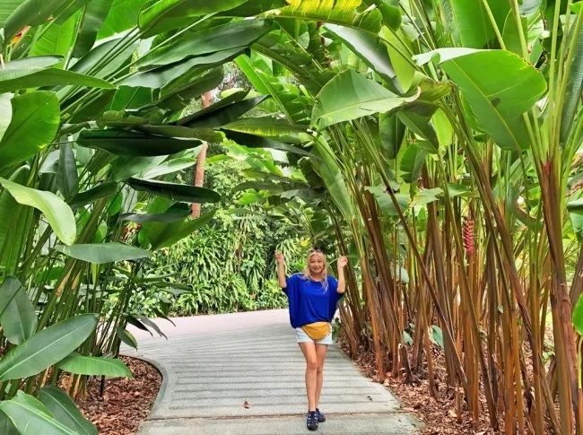シンガポール世界遺産 ガーデンバイザベイじゃない方の「シンガポール植物園」